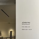 [ 전시 리뷰 ] - 존 배 &lt;운명의 조우&gt; in. 갤러리현대 (서울 9월 전시회)