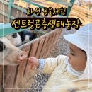 정남농장 | 화성 아이와 가볼만한 곳 | 센트럴곤충생태농장 | 화성동물체험 | 26개월 아이와 방문한 후기