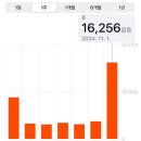 헤지스숙녀현대신촌 | 몽몽의 일상 기록 : 24.10월 (5) 10/28~11/3 : Zoom독서모임, 신촌데이트, 피곤해서 앓은 일주일.