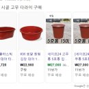 백화등정원