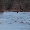 행복이 넘치는 강 펜션 이미지