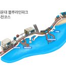 해운대 해변열차, 장안사(배내골 철구소대신) 여행25.11.16-17 이미지