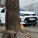 모아마트 산내점 | [경주 산내 l 산내자연캠프] 부산 대구 근교 경주 글램핑 인생 첫 글램핑 성공 후기 경주여행