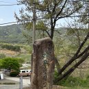 합천라온오토캠핑장 이미지