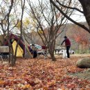 밑반찬 고수되기 이미지