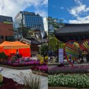 축제 행사 오프닝 세레머니 비전선포식 종로 조계사에서 매직플라워를 진행했어요!