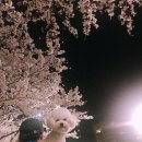 그루밍선데이 이미지