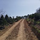 호산농원 이미지