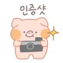 비바 노래연습장 이미지