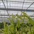 승연농장 이미지