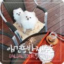 달봉카페 이미지