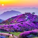 서대산목장 꿈꾸는섬
