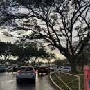 나무아래서(푸드트럭) 이미지