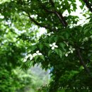 오즈의목장 이미지