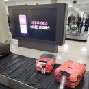 혼저옵서멍 | 김포 - 제주, 아시아나 항공 타고 가봅니다.(ASIANA AIRLINES OZ8983)