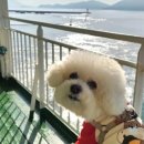 제주호가민박