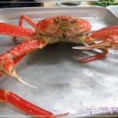 유달식당 이미지