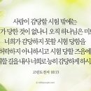 오늘도기쁨24