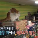 등골농장 이미지