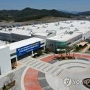 해운카모터스 이미지