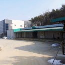 법인삼미