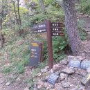 선학정 Daum카페