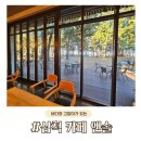 카페 216 st | 삼척 카페 앤솔, 바다와 고양이를 볼 수 있는곳