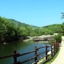 쌍용식물원