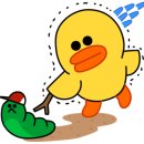 대가야컨트리클럽 이미지