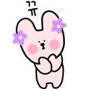 제주펫스쿨 이미지