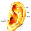 이침이야기 네이버블로그
