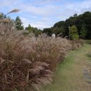 연천전곡리유적 이미지