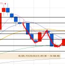 미미홀딩스 이미지