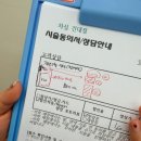 건대미용실 염색 잘하는 곳 차심 건대점 브라운 후기 (아름 디자이너)