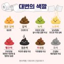 대변의 기적 이미지