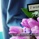 카라flower 이미지