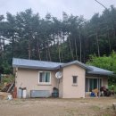 용동농장 Daum카페