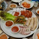 부천 송내역 맛집 양은이네 오징어 보쌈 동태탕
