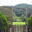 메종카누네 이미지