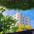 오가다 바로병원점 | 경주동국대병원 심부자궁내막증 수술 당일 리얼후기 | 9개월 기다린 재수술의 하루