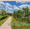 반궁음성점 이미지