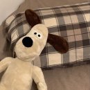 누리꿈이비인후과의원 | 2023년 8월 이 더운 날 코로나 확진된 후기이자 누리꿈이비인후과의원 체크인 챌린지 ✔️