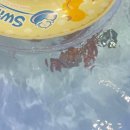 903 | [출산후기]전주 드팜므 오페라 903호 솔직후기(클래식 차이, 천변뷰, 신생아 촬영 등)