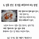 린세탁소 네이버블로그