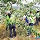 눌왕리농장 이미지