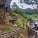 동로치안센터 이미지