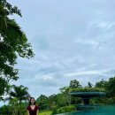 오붓크리닝 | 발리 우붓 정글뷰 숙소 추천, 파드마 리조트 우붓(가격, 왓츠앱번호, 플로팅조식, 수영장, 요가시간...