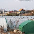 대가면사무소 이미지