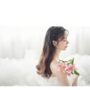 스텔라스테이
