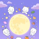 오카피 | 세종 터프팅 원데이클래스 내돈내산 후기 | 오카피터프팅